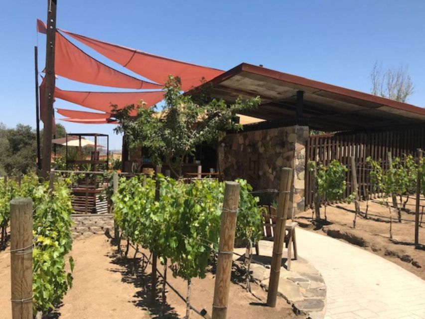 From Tijuana: Valle De Guadalupe Private Winery Tour - Key Points