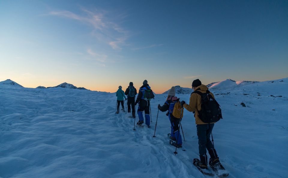 From Tromso: Small-group Snowshoeing Tour - Key Points