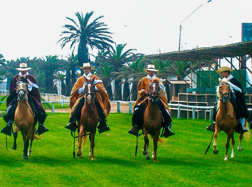 From Trujillo: Full Day With Paso Horses and Sailor Show - Key Points