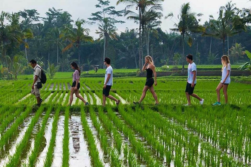 From Ubud: 3-Hour Tropical Trek and Taro Village Tour - Key Points