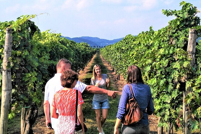 from venice wine tour in the euganean hills From Venice: Wine Tour in the Euganean Hills