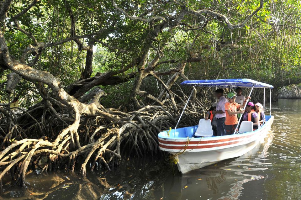 From Veracruz: Nature & Seafood Boat Tour to Madinga - Key Points