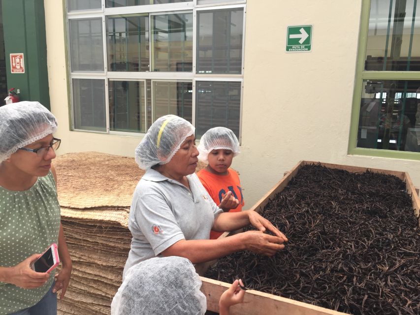 From Veracruz: Tajin Day Trip With Vanilla Factory Visit - Key Points
