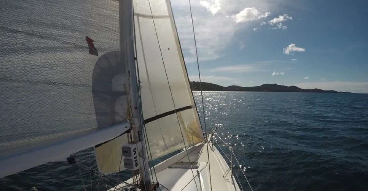 From Zadar: Sports Sailing Tour With Swimming Breaks - Key Points