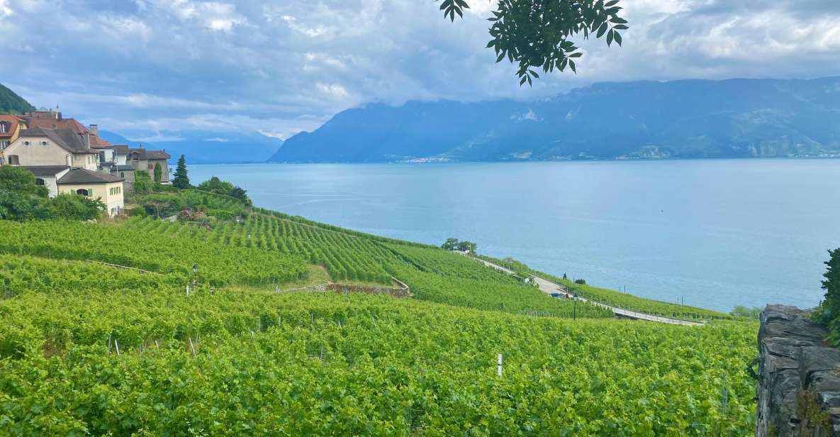 From Zurich: Private Day Trip to Gruyères & Lavaux Vineyard - Key Points