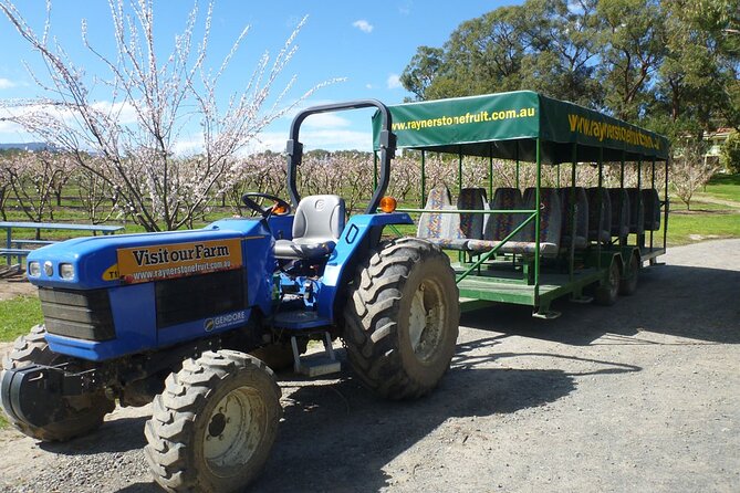 Fruit-Picking & Puffing Billy Steam Train 1-Day Tour in Chinese - Key Points