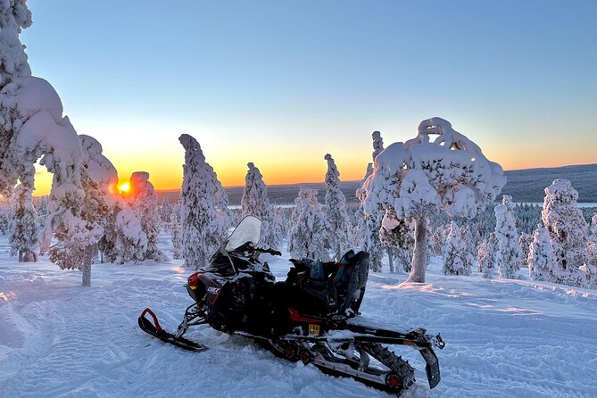 Full Day Activity With Snowmobiles in Rovaniemi - Snowmobile Rental Options