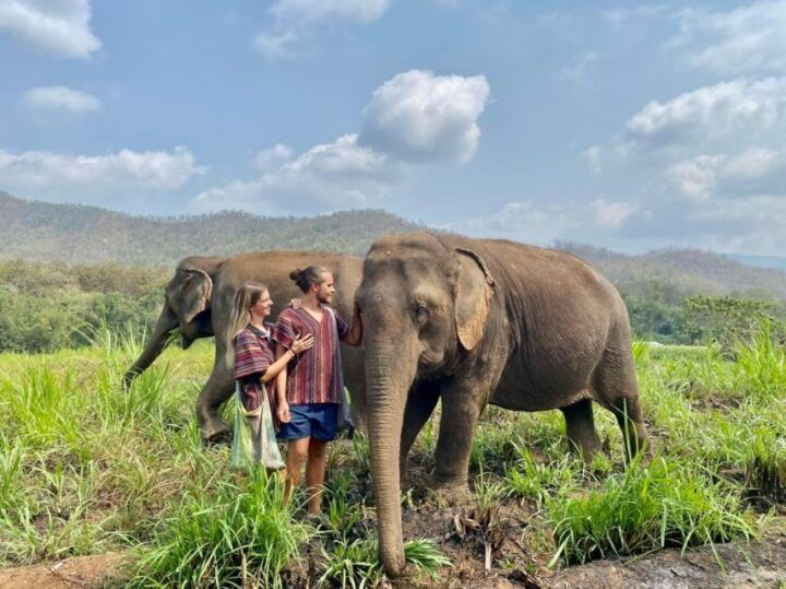 Full Day Bamboo RaftingElephant CareJungle Waterfall - Key Points