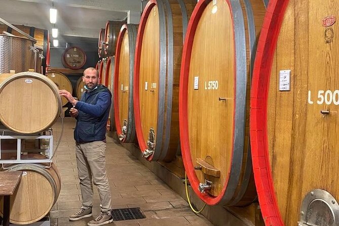 Full Day Barolo&Barbaresco Wine Tour From Torino With a Local Winemaker - Key Points