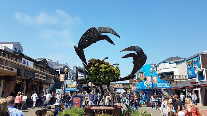 Full Day Bike Rental From Fishermans Wharf - Key Points