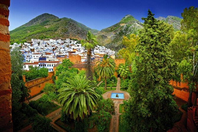 Full-Day Chefchaouen Unique Private Guided Tour From Tangier - Key Points