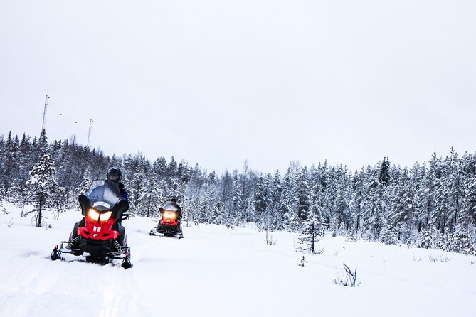 Full-Day Further to the Wilderness Guided Snowmobiling in Inari - Key Points