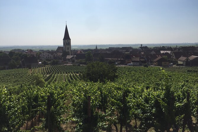 Full Day Grape Escape to Alsace Wine Route via Strassbourg - Key Points