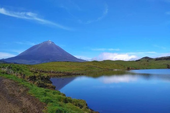 Full-Day Guided Tour in Pico Island - Key Points