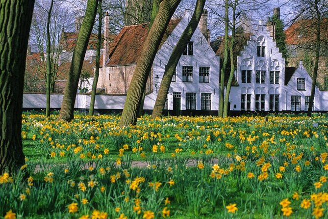 Full Day Guided Tour to Bruges by Train From Brussels