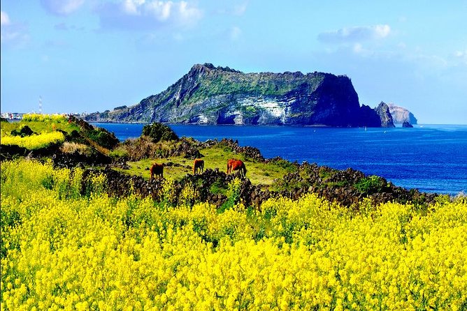 Full Day Jeju Island Private Tour for East Course With Korean Black Pork BBQ - Key Points
