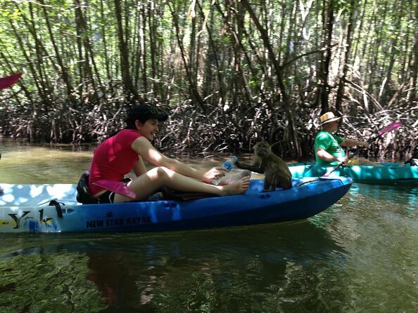 Full Day Kayaking at Ao Thalane Krabi - Key Points