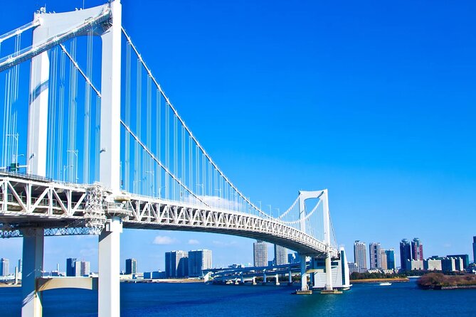 Full-Day Panoramic Bus Tour in Tokyo With Bay Cruise