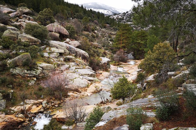 Full-Day Private Guided Tour to Guadarrama National Park - Tour Highlights