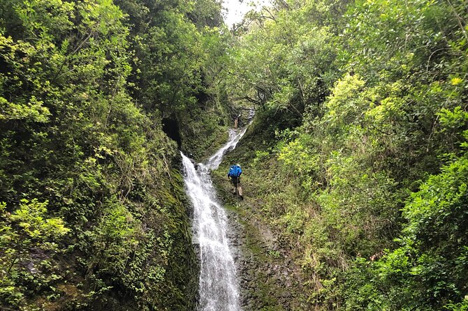 Full-Day Private or Small-Group Oahu Hike and Beach Tour  - Honolulu - Key Points