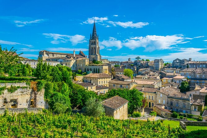 Full-Day Private Saint Emilion Wine Tour Experience From Bordeaux - Key Points