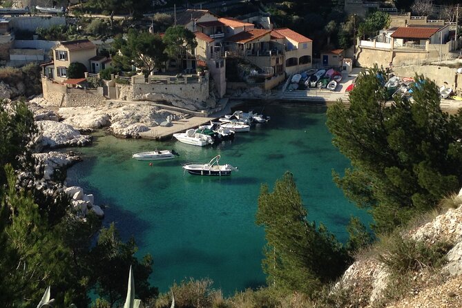 Full Day Private Tour on a Catamaran in Marseille - Key Points