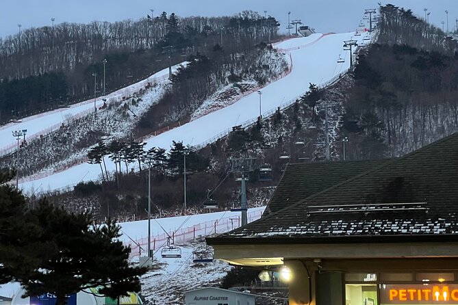 Full Day Ski Tour From Seoul to Yongpyong Ski Resort - Key Points