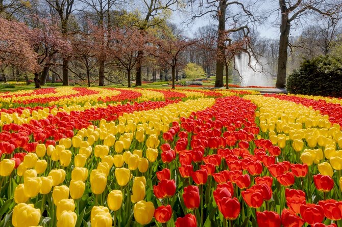 Full-Day Skip the Line Keukenhof and Canal Cruise From Amsterdam
