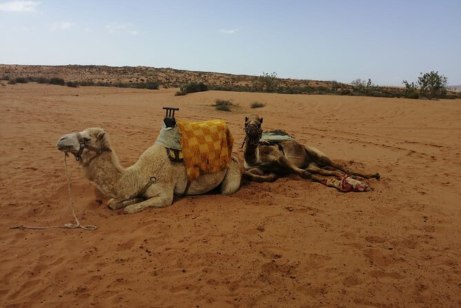 Full Day Small Desert Tour With Lunch From Agadir - Tour Overview