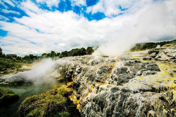 Full-Day Te Puia Geothermal Valley Experience From Auckland - Key Points
