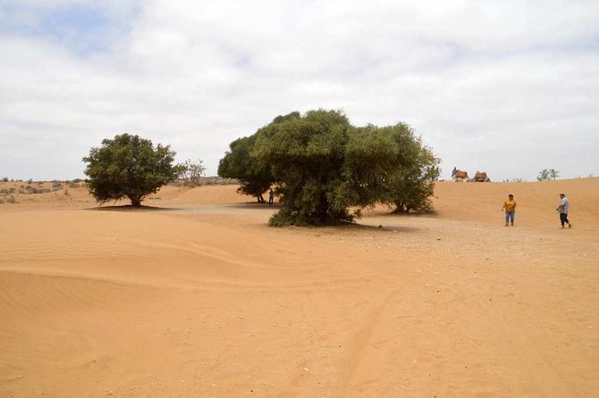 Full Day to Small Desert From Agadir - Key Points