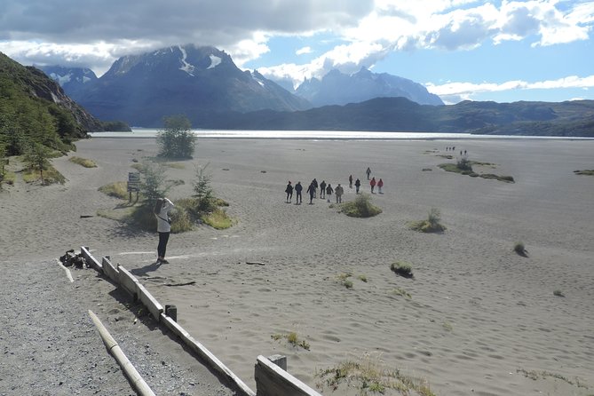 Full Day Torres Del Paine From Punta Arenas ,Regular Tours - Tour Highlights