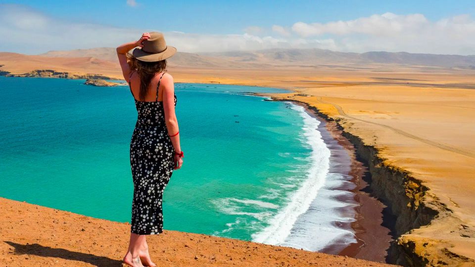 Full Day Tour Ballestas Islands & Paracas National Reserve - Key Points