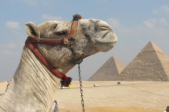 Full-Day Tour to Ancient Egypt