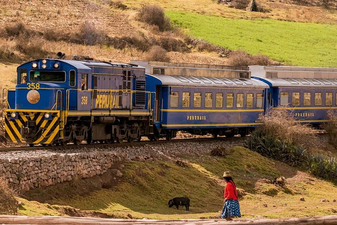 Full-Day Tour to Machu Picchu by Expedition or Voyager Train - Tour Details