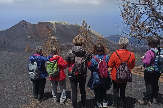 full day tour with hiking to the tajogaite volcano Full Day Tour With Hiking to the Tajogaite Volcano