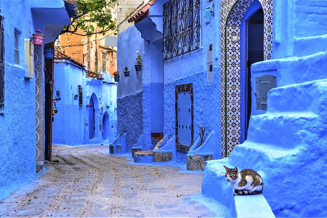 Full-Day Trip to Chefchaouen From Tangier - Exploration of Chefchaouen Medina