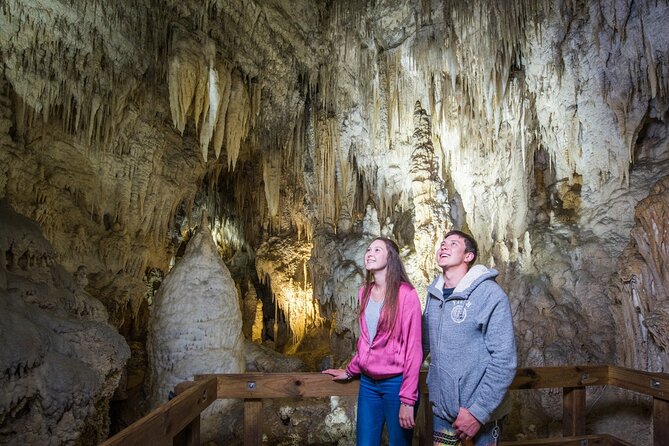 Full Day Waitomo Glow Worm Cave and Kiwi House Tour - Key Points