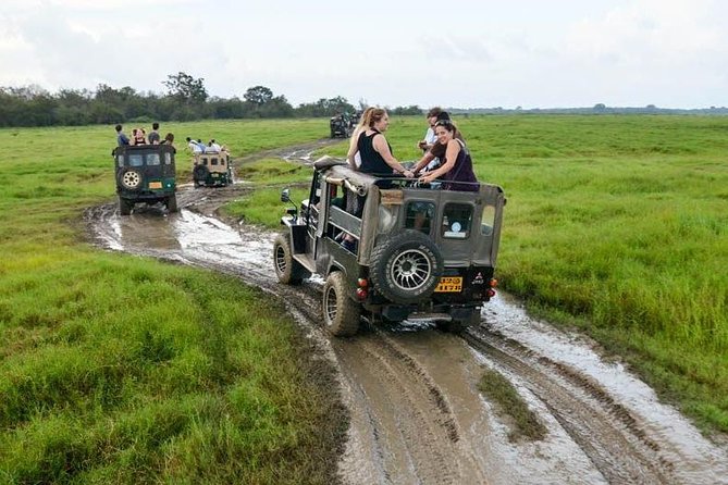 Full Day Wilpaththu National Park Safari (All Inclusive) - Key Points
