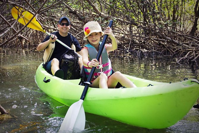 Fully Guided Kayaking Backwater Manatee and Dolphin Tour - Key Points