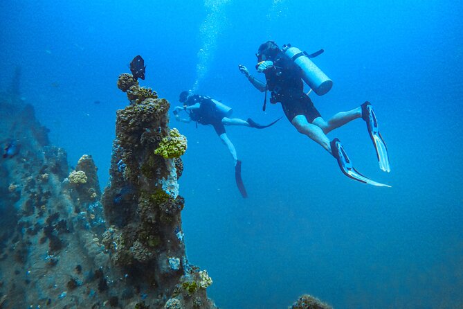 Fun Dives For Certified Divers - Key Points