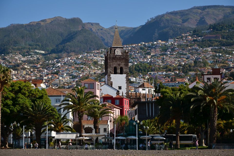 Funchal: 1 Hour Tuk Tuk Private City Tour on Tukway - Key Points