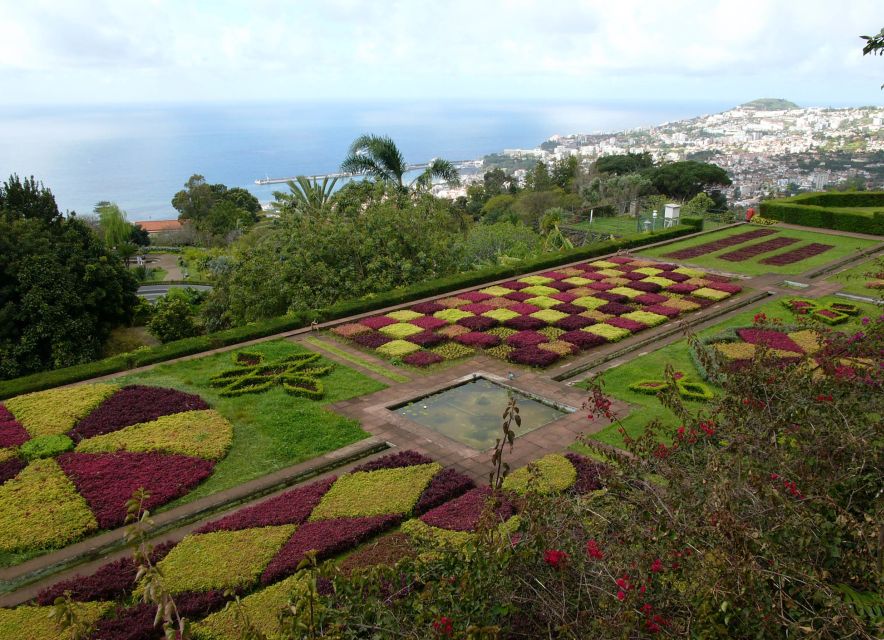 Funchal: Botanical Garden in a Tuk-Tuk Tour - Key Points