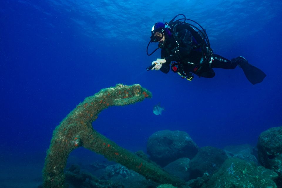 Funchal: Certified Scuba Diving, Guided Tour - Key Points