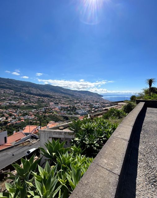 Funchal Historical Tuk-Tuk Guided Tour - Key Points