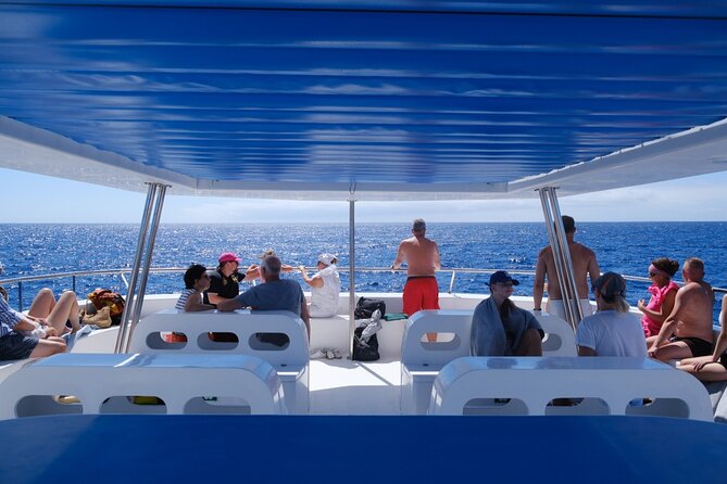 Funchal Islas Desertas Speedboat Half-Day Tour  - Madeira - Key Points