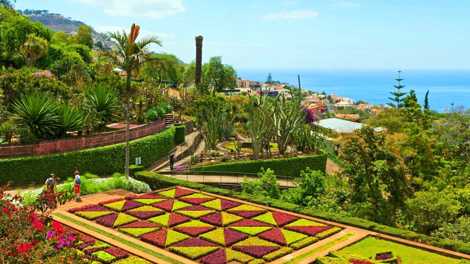 Funchal: Madeira Botanical Garden Private Tuk-Tuk Tour - Key Points