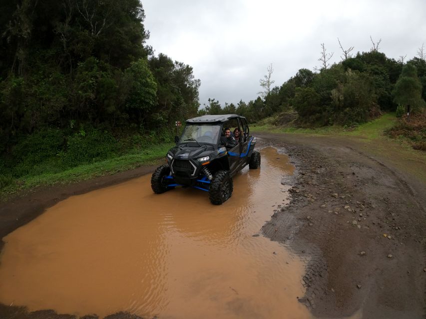 Funchal: Private Off-Road Buggy Tour With Guide & Transfers - Key Points