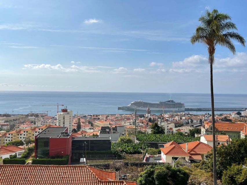 Funchal Seaside: 2-hours Guided Tuk Tuk Tour - Key Points