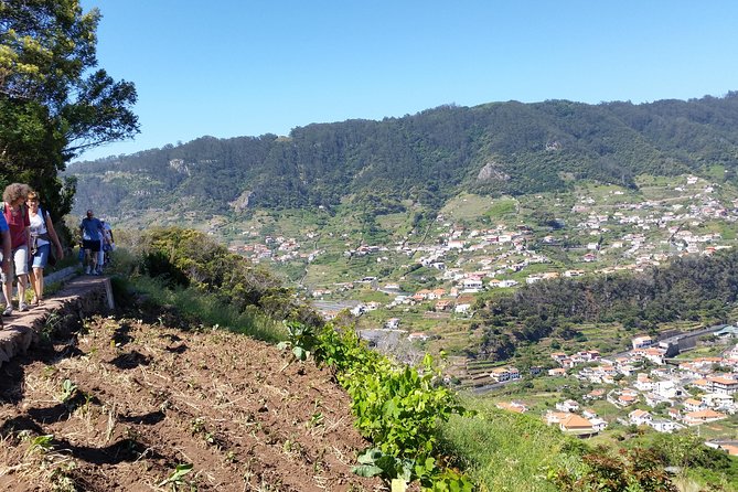 Funchal Small-Group Marocos To Mimosa Valley Hike